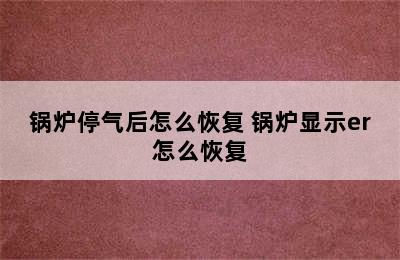 锅炉停气后怎么恢复 锅炉显示er怎么恢复